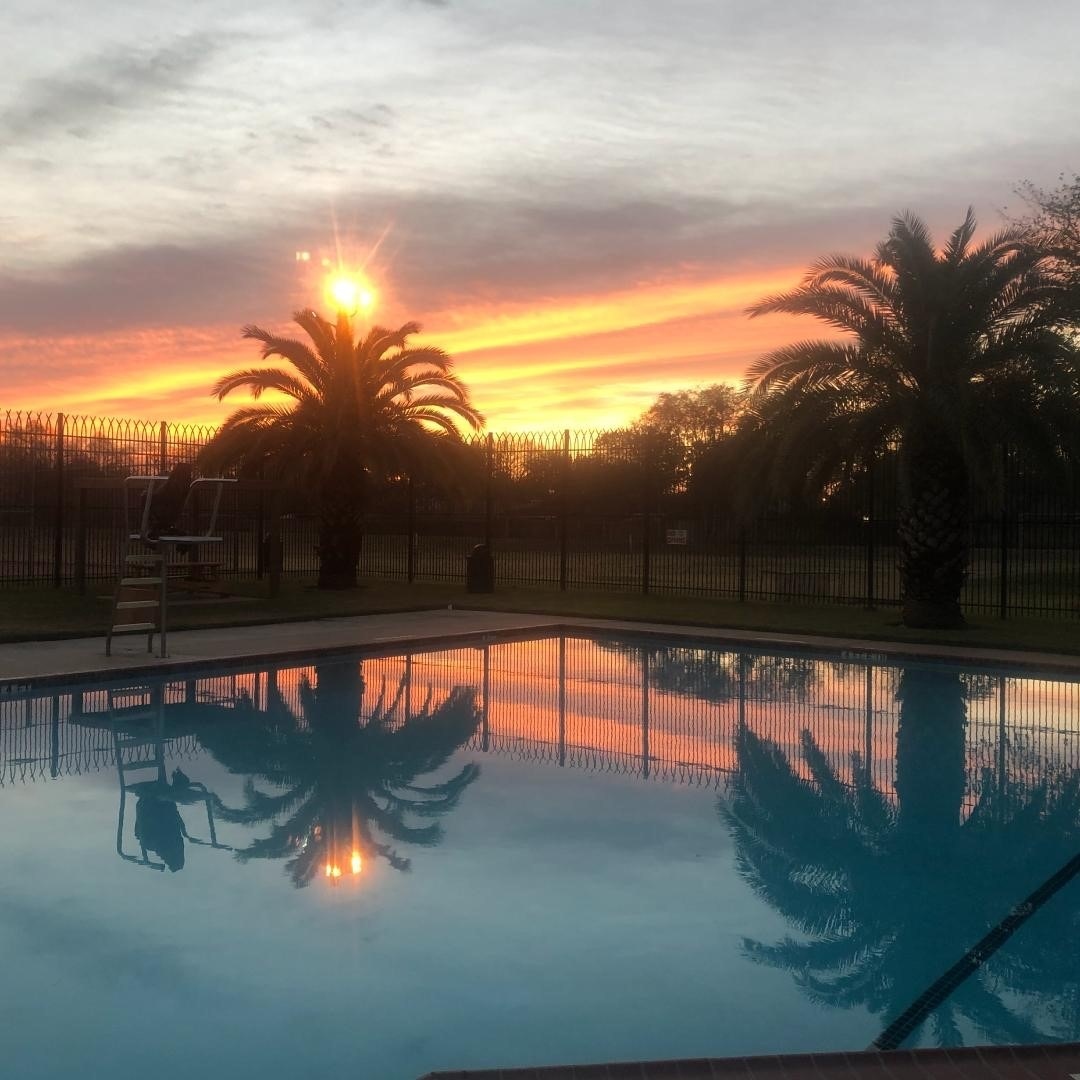 guardforlife's tweet photo. Pretty pumped that poolside views like this are in our future 🤗
.
.
.
#summeriscoming #summertime #sunset #pooldays #summerbreak #guardforlife #summerjobs https://t.co/4smUoI8aCZ