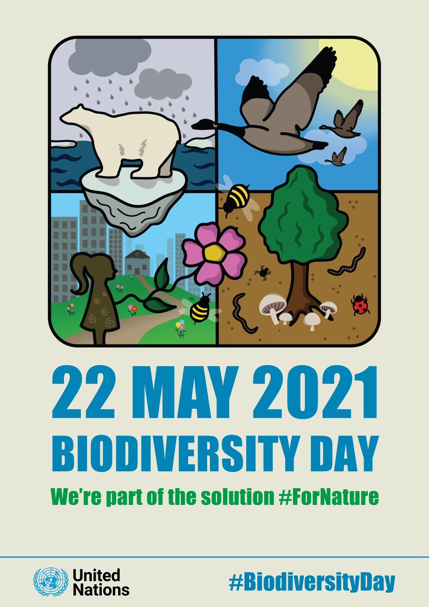UNBiodiversity's tweet photo. 📣 Why celebrate #BiodiversityDay? And why do it now?

Because 2021 marks a pivotal moment for our planet, with:

🌍 @UNBiodiversity #COP15
🌏 @UNFCCC #COP26
🌎 @UNCCD #UNCCDCOP15

On 22 May, let’s commit to taking action #ForNature and people.

➡️ https://t.co/dWGvr79rg6 https://t.co/DruiJAET5o