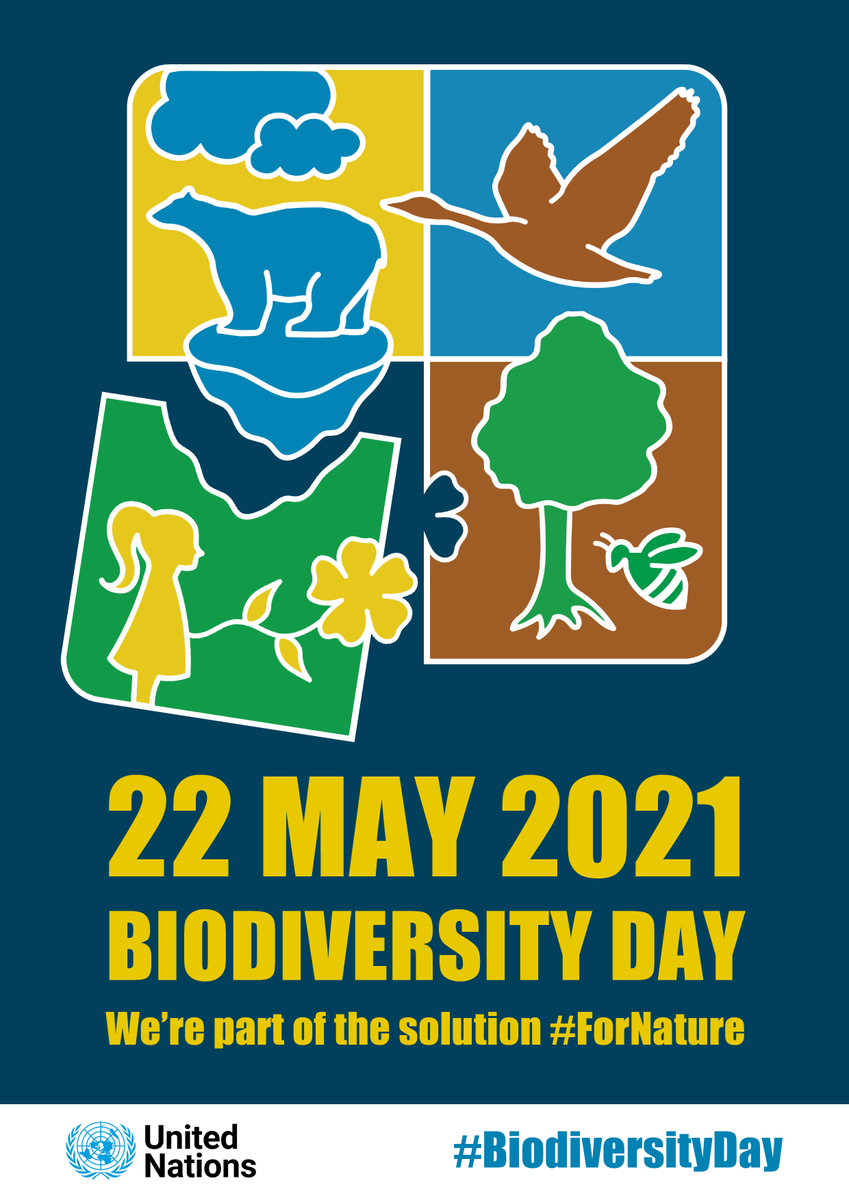 UNBiodiversity's tweet photo. 📣 Why celebrate #BiodiversityDay? And why do it now?

Because 2021 marks a pivotal moment for our planet, with:

🌍 @UNBiodiversity #COP15
🌏 @UNFCCC #COP26
🌎 @UNCCD #UNCCDCOP15

On 22 May, let’s commit to taking action #ForNature and people.

➡️ https://t.co/dWGvr79rg6 https://t.co/DruiJAET5o
