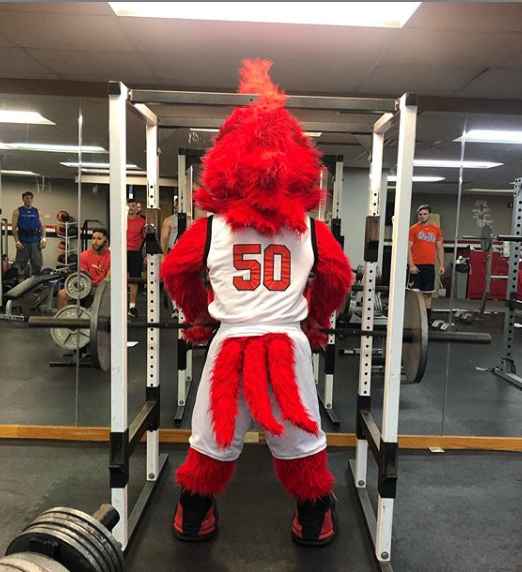 Mineral Area College tweet media