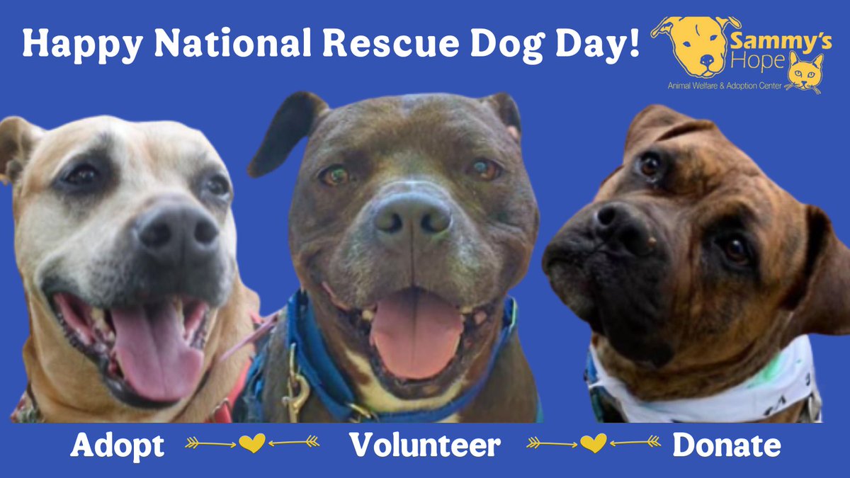 Because of those who volunteer, donate &amp; adopt, we are able to rescue so many amazing dogs and find them their forever homes. We truly could not do it without you! Find out how you can help - sammyshope.org 

#NationalRescueDogDay #SammysHopeLove
