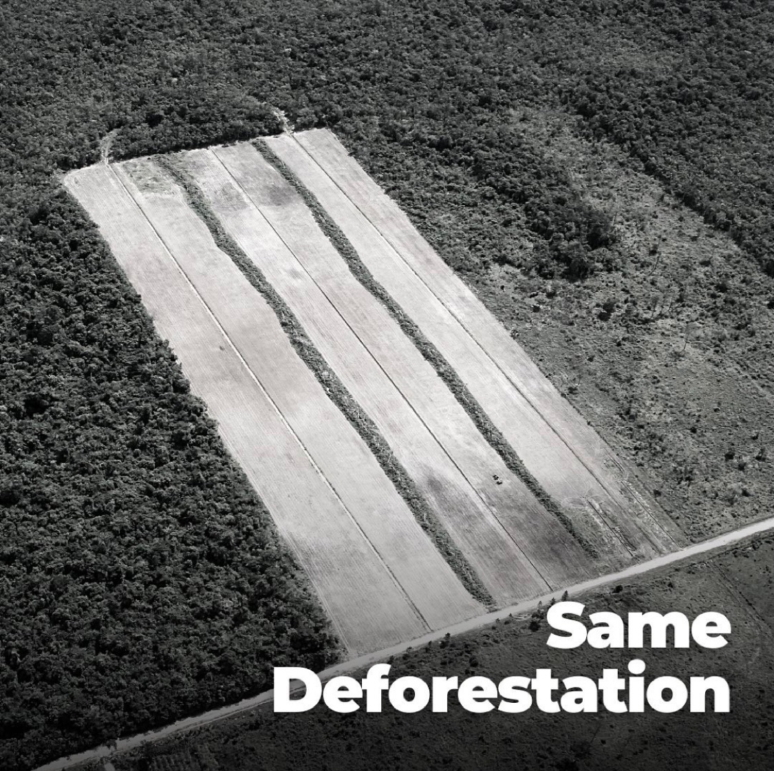 SAME deforestation.