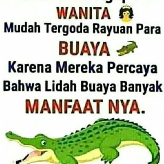 _yahananan's tweet photo. @kumparan LIDAH BUAYA
LIDAH BUAYA
...
Makan nasi sepiring berdua
Sungguh nikmat tiada tara
Awas cowok suka menggoda
Diam-diam dia buaya! 
.
Jiahhh prikitiw! Pict dibawah hanya pemanis yaa, biar jelas jawabanya hihi Bismillah yuk lumayan untuk jajan skincare. 
#AdminkumparanSultanBeneran https://t.co/ta6s26ADJE