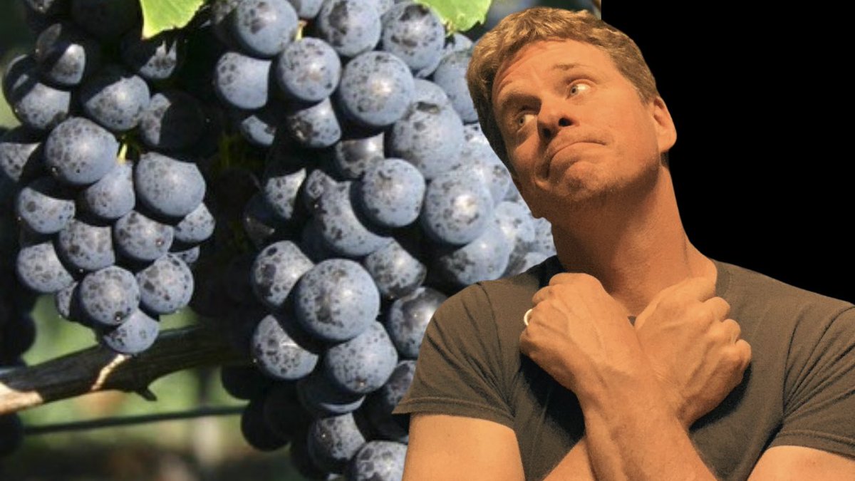 Thursday’s video is all about Petit Verdot, and why THAT is what you should be drinking this weekend: youtu.be/bH-MriAaI3U #wine #petitverdot #wineweekend