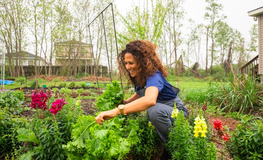 MSU College of Arts & Letters tweet media