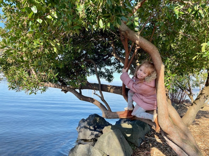 Matt Staneff tweet media