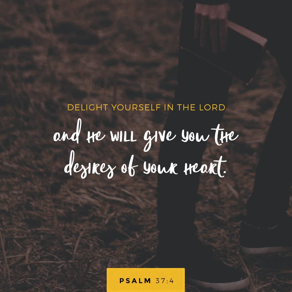 DavidGurganus_'s tweet photo. #DailyBread🙏🏻 https://t.co/hHQzg1Q7dH