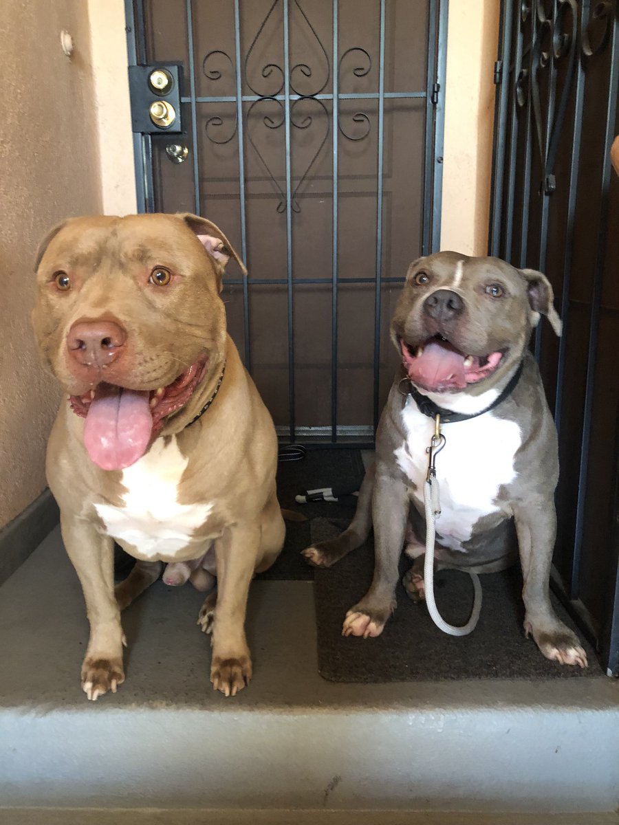 Bryan Rodriguez tweet media