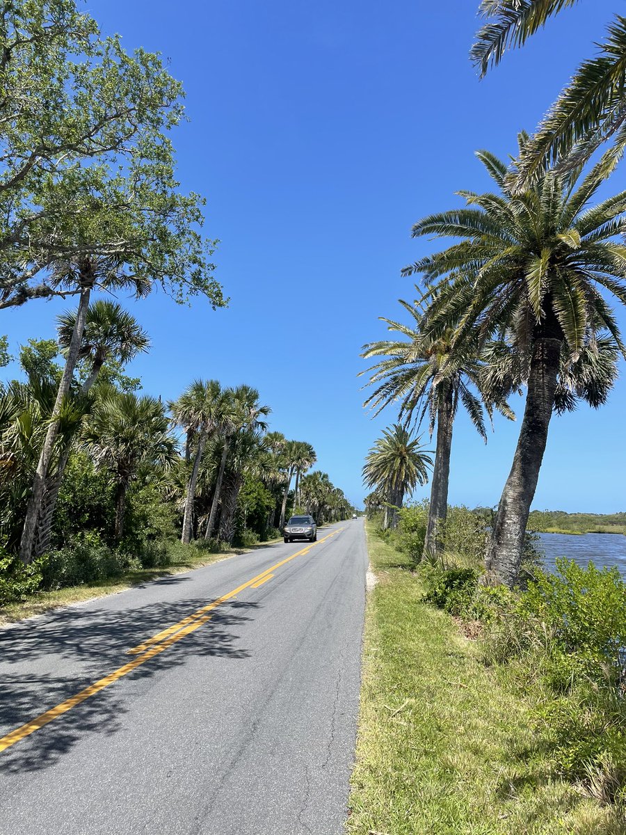 KatariinaNykyri's tweet photo. Scenery along the beautiful #OrmondLoop https://t.co/N7nGuPV7BN
