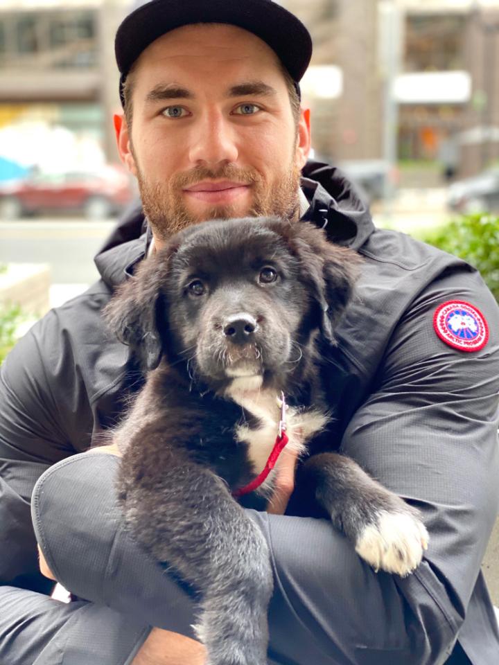 WTARescue's tweet photo. ๐Caps fans +๐พanimal lovers: here's your chance to help 2 puppies get life-saving surgery & maybe WIN A SIGNED #CAPITALS JERSEY - now through the end of the playoffs. Details at https://t.co/NCrJUNpmd9!
#SavedBySurgery #SaveTheFuzzBalls #TogetherWeCanSaveThemAll
#GoCaps #ALLCAPS https://t.co/5POVsB0pG1