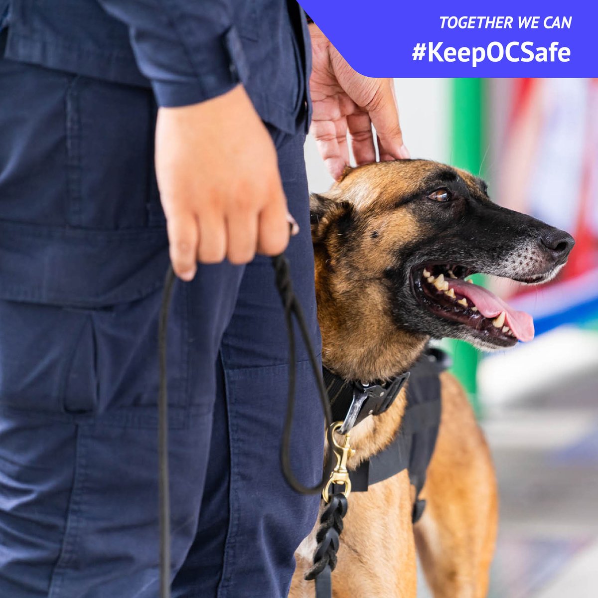 safe_oc's tweet image. See someone surveilling a building far beyond mere curiosity? If something feels wrong, report it to the authorities. #KnowTheSigns #KeepOCSafe