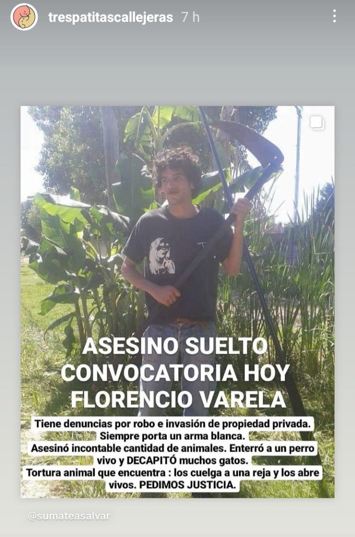 Otro #asesino #psicópata suelto. Es de #FlorencioVarela RT 🚨 <a href="/RedSolidariAnim/">RED SOLIDARIA ANIMAL</a> <a href="/somosvoicot/">VOICOT</a> <a href="/paraellostodo/">solo animales</a> <a href="/Van_Saskia/">Vanne #plural #lacuestionsocial #RETROTOPÍA</a> <a href="/FlaviaVanesa/">Ben Armsotrongᅠᅠᅠᅠᅠᅠᅠᅠᅠᅠᅠᅠᅠᅠᅠᅠᅠᅠᅠᅠᅠᅠᅠᅠᅠᅠᅠᅠᅠᅠᅠᅠᅠᅠᅠᅠ</a> <a href="/ComoNoAdorarlos/">Como No Adorarlos</a> <a href="/Soyeleowexler/">eleowexler</a> <a href="/elcampito/">El Campito Refugio</a> <a href="/refuasis/">Refugio San Francisco de Asís</a> @valeriaschapira <a href="/kiradeloeste/">kira 🐱💛</a> <a href="/KarenKasumiAr/">Karen 💛💛</a> <a href="/lavozdelosotros/">LAVOZDELOSOTROS</a> <a href="/0405MarisaR/">MARU V. RUSSO 🇦🇷 🐶</a> <a href="/florenciarietto/">María Florencia Arietto 🇦🇷</a>