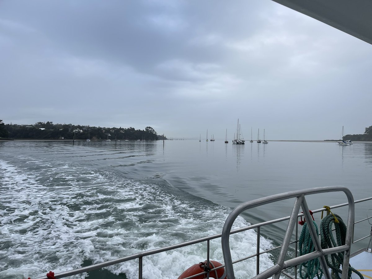 Rain or shine I am loving my commute to work today! Beach Haven to Hobsonville Point in 5 mins.
