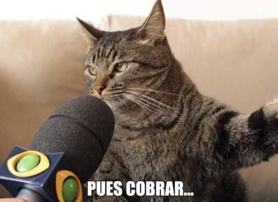 ElPanditaRojo_'s tweet photo. ¿Qué es lo que más te gusta de tu trabajo? https://t.co/zBO6JcKkbk