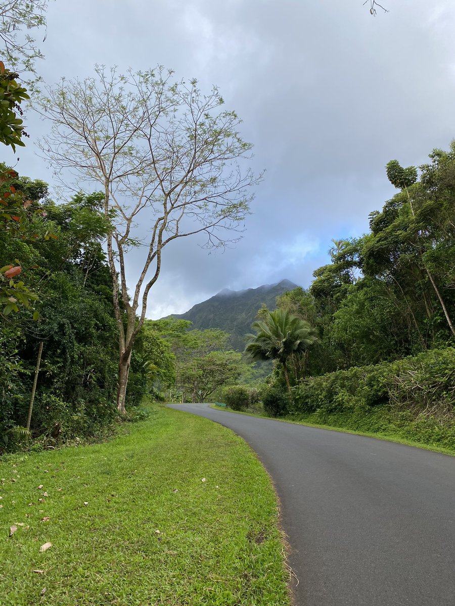 spbloghawaii's tweet photo. The ever-changing skies from this morning’s run. Got drenched, but it was still great to be out there! #hawaii #hawaiilife #sweatlife #run #blog #hawaiiblog #stylepreservation https://t.co/xQoSAd51fp