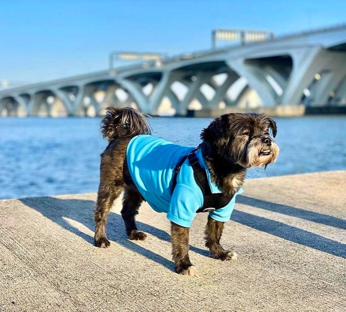 Looking ahead to the weekend like…
📷: <a href="/EsplanadeAptsMD/">Esplanade Apartments</a> on Instagram