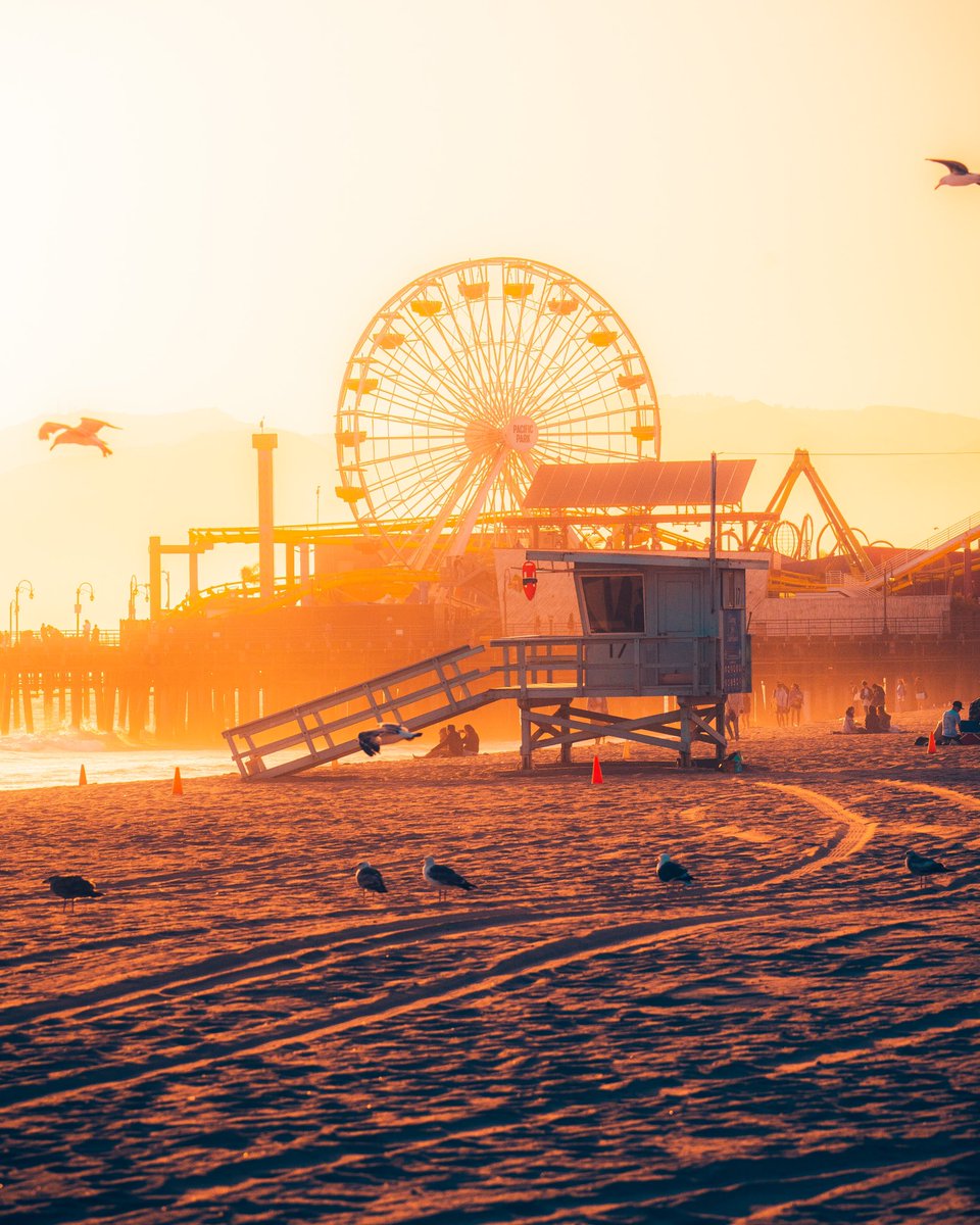 Jordan Hexem📸 tweet media