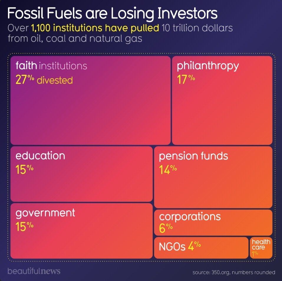 Djamila Reis Djamila Reis Twitter