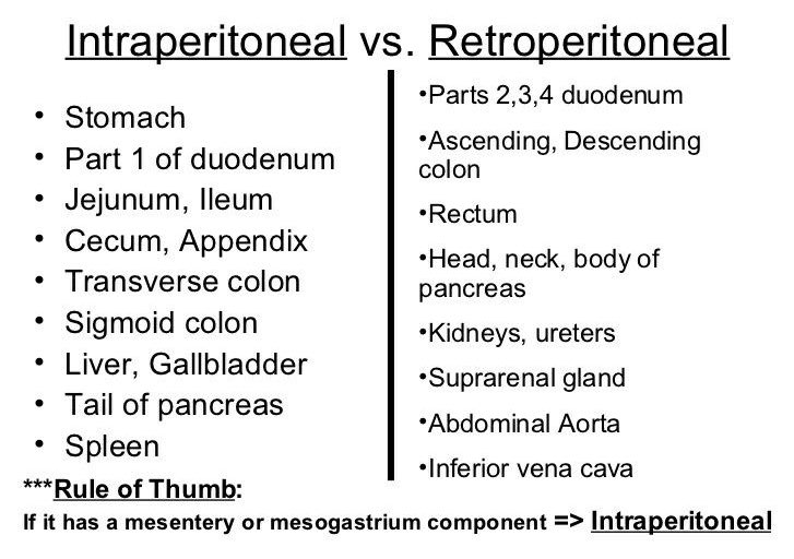 Retroperitoneal Organs retroperitoneal-organs