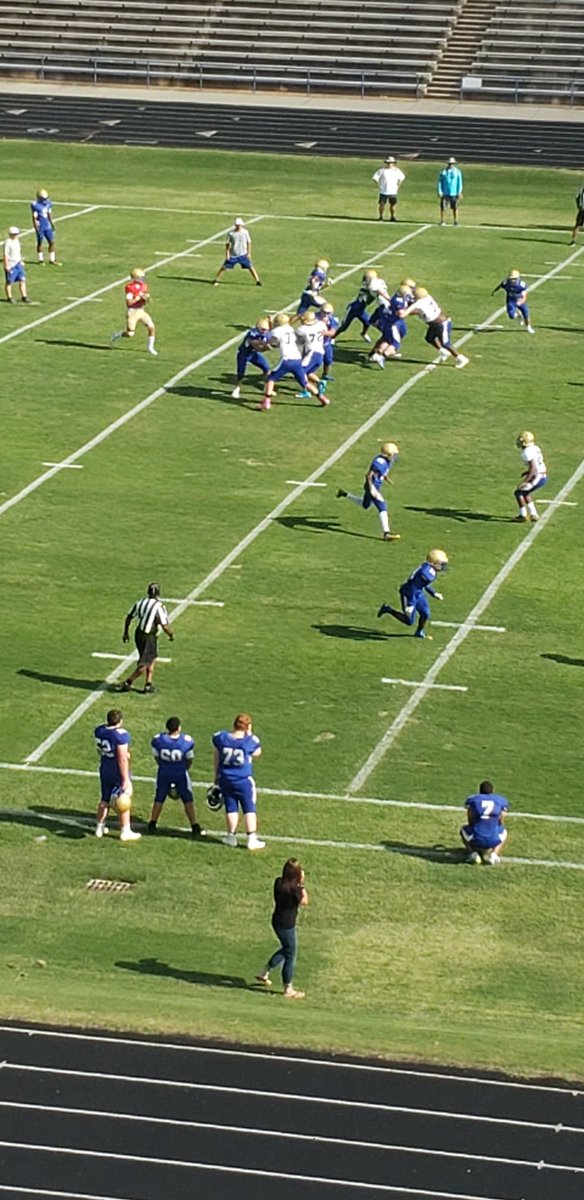 Sally Sprouse-Anderson tweet media