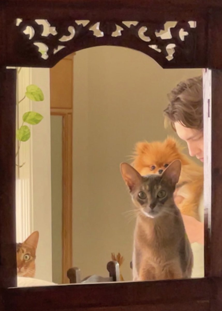 fernbestof's tweet photo. the cutest https://t.co/uG5oQtfFKh