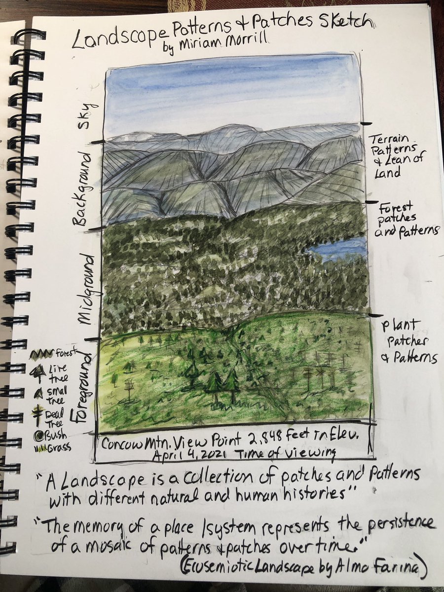 mhmorrill's tweet photo. Exploring #naturejournaling approaches to create a sense of place w/fire… Landscape Patches & Patterns via @AlertWildfire view. Add’l exercise looks at countywide fire history map patterns and fire illustrations. #firejournaling #fireeducation https://t.co/deWyZC7Ts6