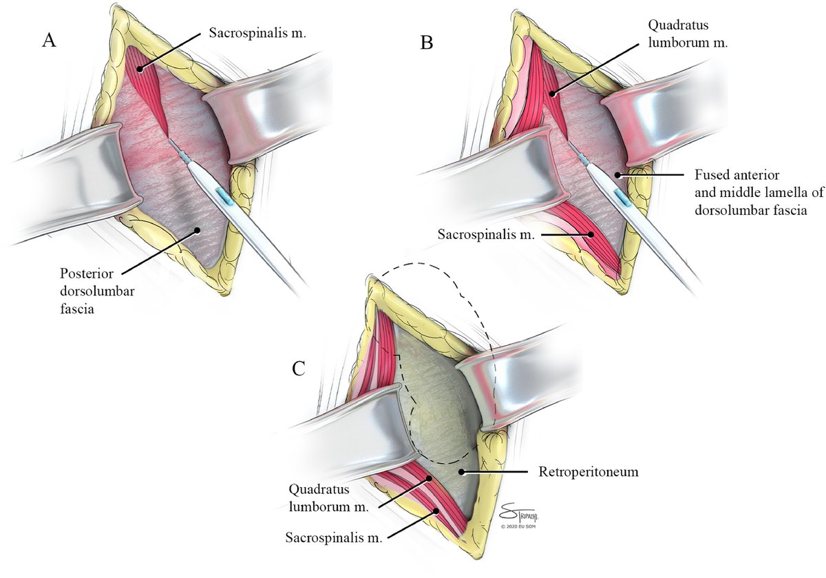 Viraj Master tweet media