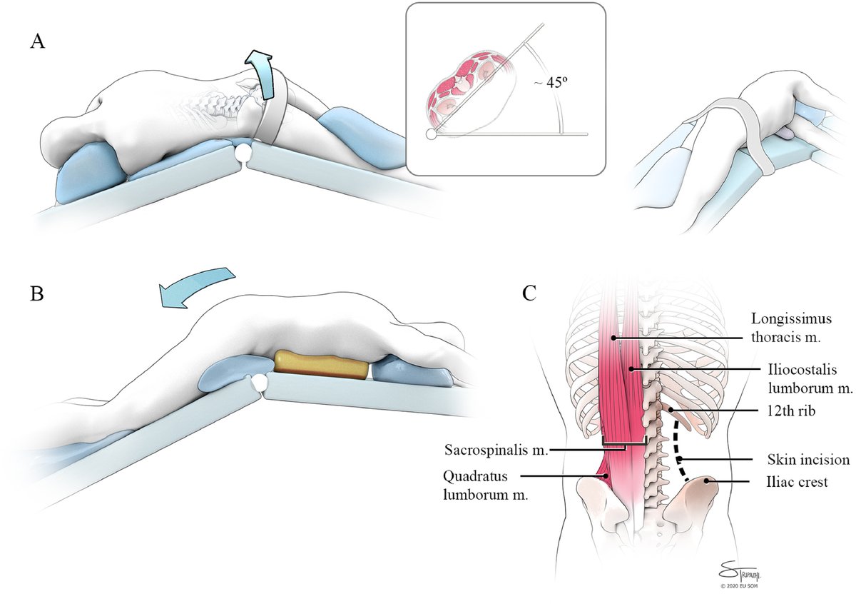 Viraj Master tweet media