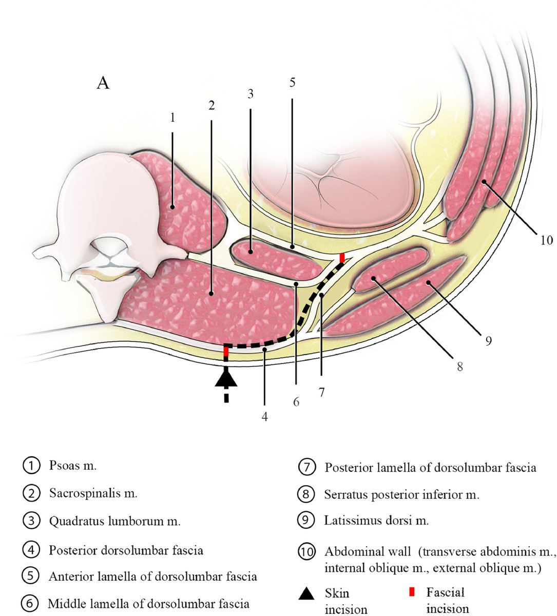 Viraj Master tweet media