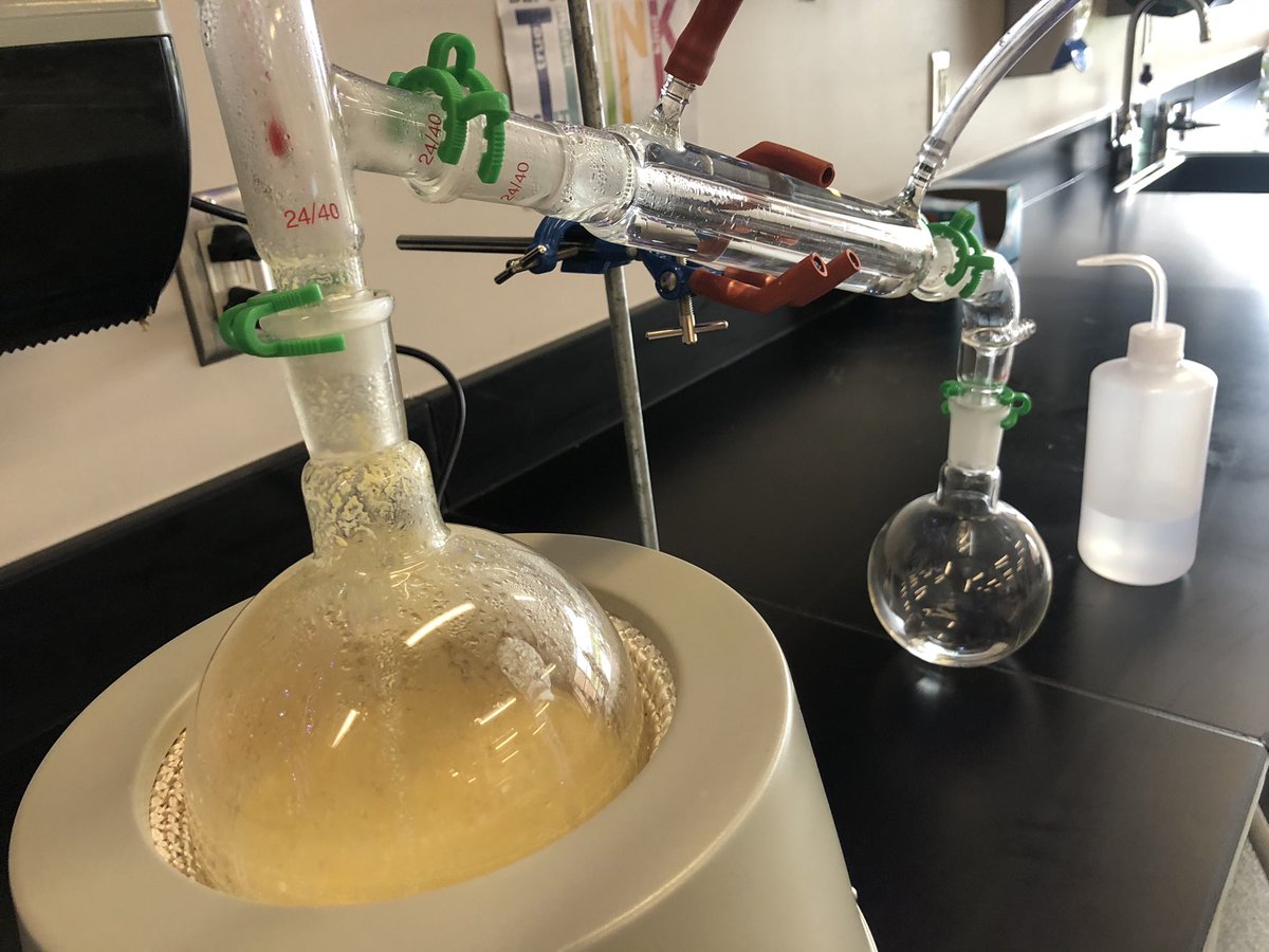 Robynlv's tweet photo. Fun things happening in #SidewaysScience making #cornEthanol #seedtostem https://t.co/vSY0uTRdb3