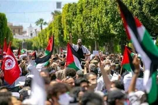EyaHarmat's tweet photo. غَزّة لن تنتصر بما تكتبون..
و من قال أننا نكتب من أجل غزّة !
نحن نكتب حتى نحرس القضية في وجداننا،نكتب حتى نعذر أنفسنا أمام عجزنا، نكتب حتى تبقى قلوبنا حيّة و نبضنا طرياً ، نكتب كي نشرّف أنفسنا بالدفاع عن قضية نبيلة ،نكتب حتى نحفض صفة الإنسان فينا أصلا 🇵🇸⁩⁦🇹🇳⁩⁦
#FreePalestine https://t.co/ohzQAYDYbR