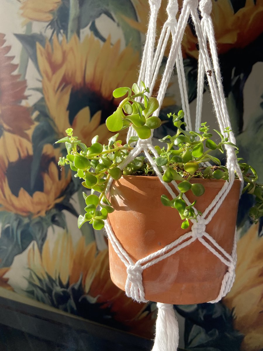 irl_dpu's tweet photo. Want to learn how to make a macrame plant hanger? Sign up to receive a free macrame kit, which includes cotton cord and a metal ring, and we will teach you how! Go to our Eventbrite page at https://t.co/yxu3yfOUsx to sign up
#IdeaRealizationLab #DepaulUniversity https://t.co/6DjGiQzxJ7