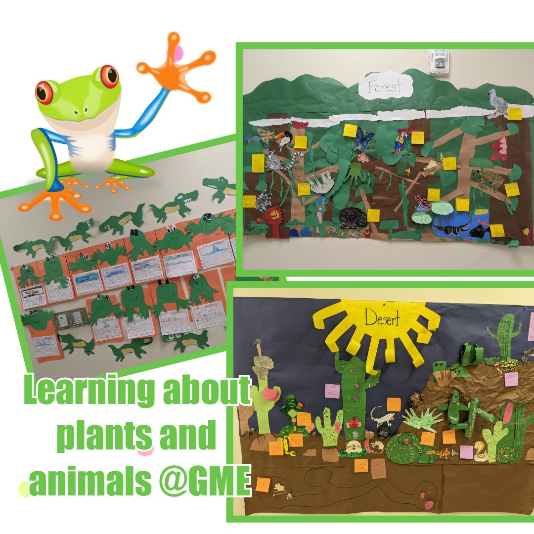 GeorgeMarks Bulldogs (@georgemarksvcs) on Twitter photo Our kinders and firsties are learning lots about plants and animals! <a href="/ElemSci/">VCSElemSci</a> <a href="/JamieMichele6/">Jamie M Haynes</a> Our kinders and firsties are learning lots about plants and animals! <a href="/ElemSci/">VCSElemSci</a> <a href="/JamieMichele6/">Jamie M Haynes</a>