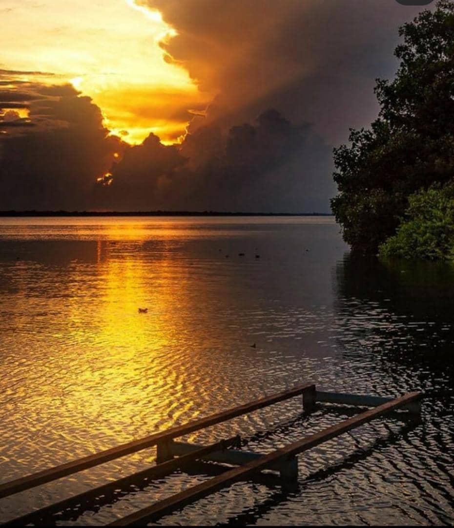 parragagraciela's tweet photo. Orgullosamente zuliana.
Rayo del Catatumbo Zulia Mía https://t.co/CN7q74UEbo