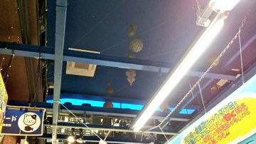 笛吹市石和町の ドン キホーテ いさわ店 閉店 Sakuranpost