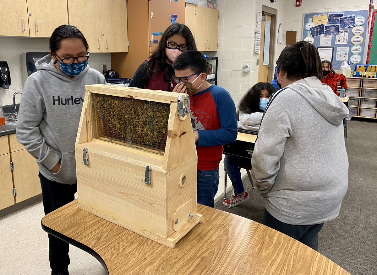 davidsonsonja's tweet photo. Mr. Wilkinson, our awesome former principal, came to visit all of our 5th grade classes... and he brought his beehive! He taught our students all about beekeeping and the importance of bees to our environment. Thanks for sharing your knowledge, Mr. Wilkinson! 🐝 https://t.co/nipM7heuoC