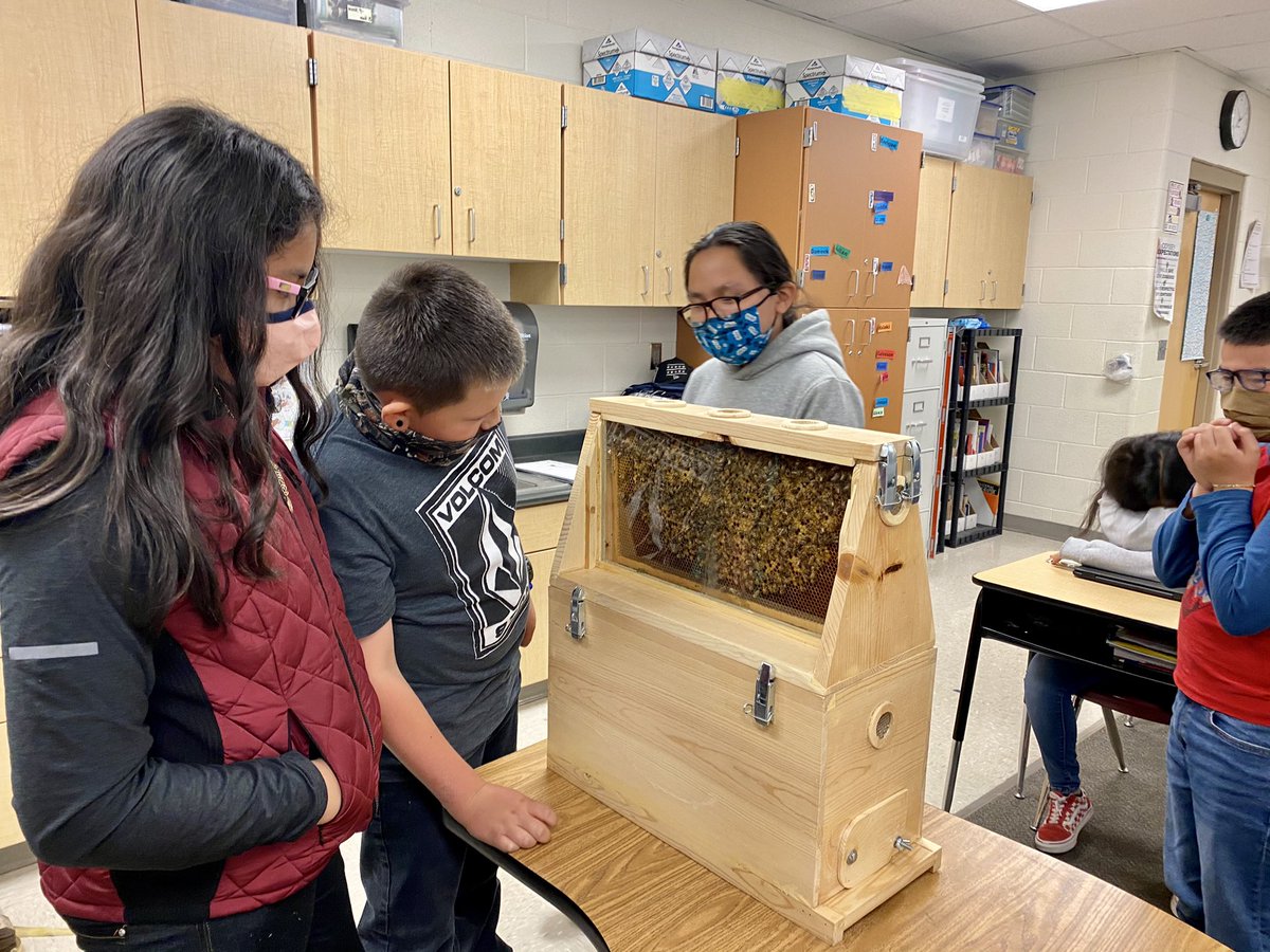 davidsonsonja's tweet photo. Mr. Wilkinson, our awesome former principal, came to visit all of our 5th grade classes... and he brought his beehive! He taught our students all about beekeeping and the importance of bees to our environment. Thanks for sharing your knowledge, Mr. Wilkinson! 🐝 https://t.co/nipM7heuoC