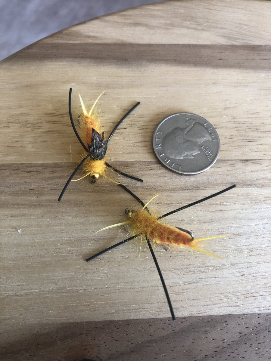 charley_shaw's tweet photo. Something tells me I’m not in Minnesota anymore. #WashingtonRivers #GoldenStonefly #flyfishing https://t.co/mDwXV3SvKj
