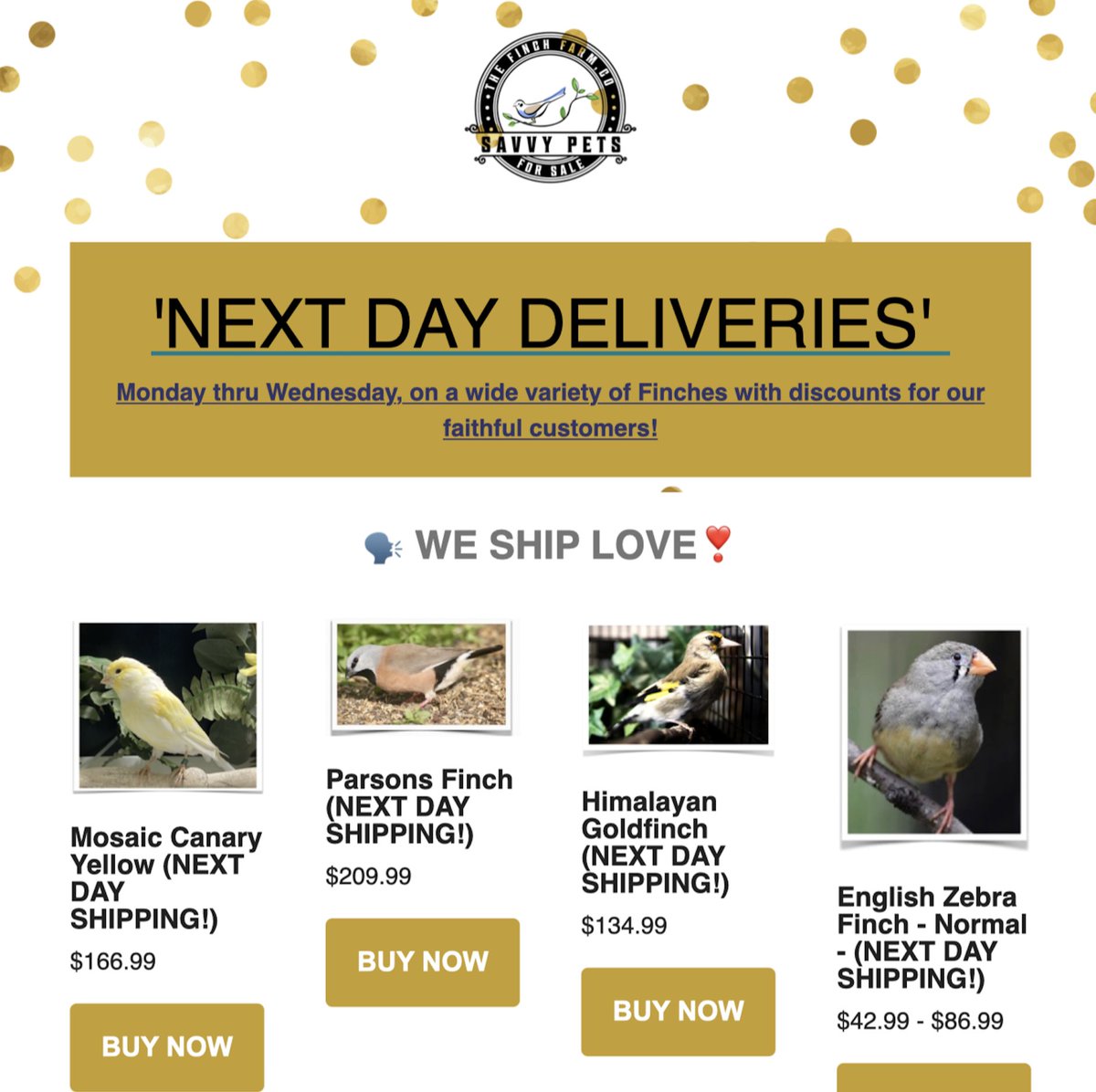 TheFinchFarms's tweet photo. 'NEXT DAY DELIVERIES' - Monday thru Wednesday, on a wide variety of Finches with discounts! - https://t.co/ObOLXNMsGv https://t.co/n7DbAPZIQs