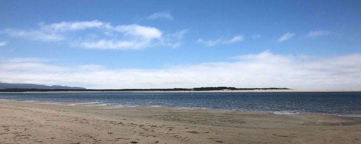 “To stand at the edge of the sea, to sense the ebb and flow of the tides..is to have knowledge of of things that are as eternal as any earthly life can be.”