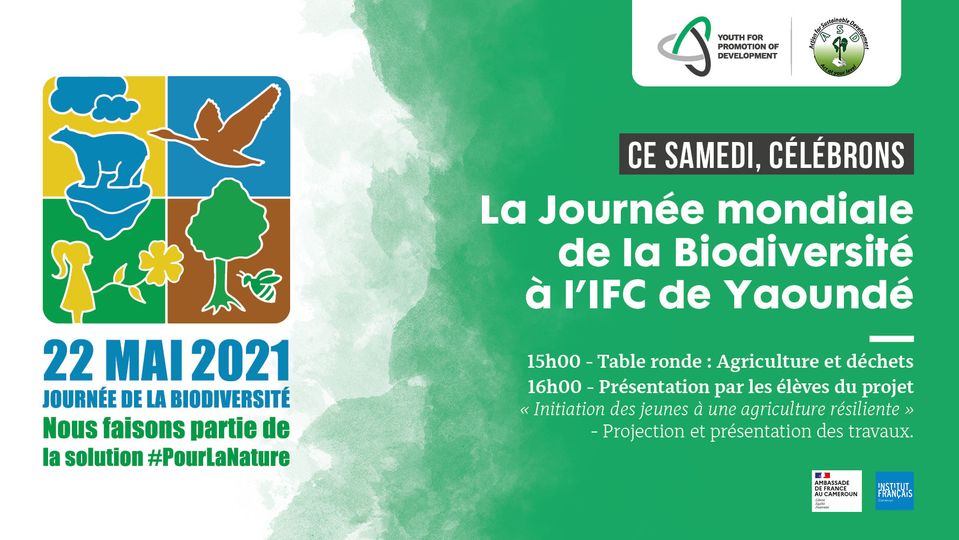 ASDCAMEROUN tweet media