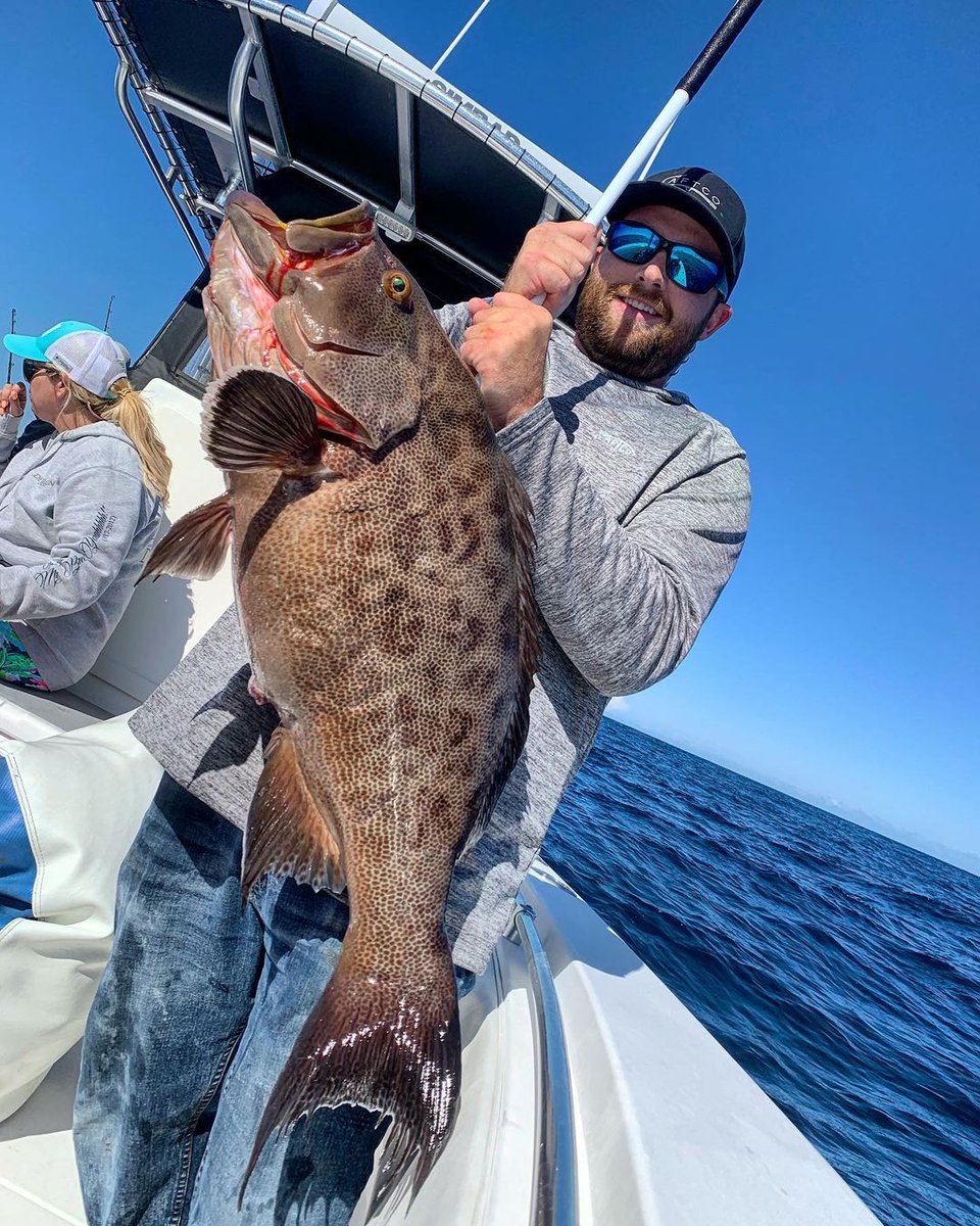 AccurateFishing's tweet photo. Pop quiz: Name the species. @liquidfirefishing with chunky sample of
#AccurateFishing #FishHard #FishAccurate #MadeinUSA #SmallReelsBigFish #BottomFishing https://t.co/QYYGl5gm8V