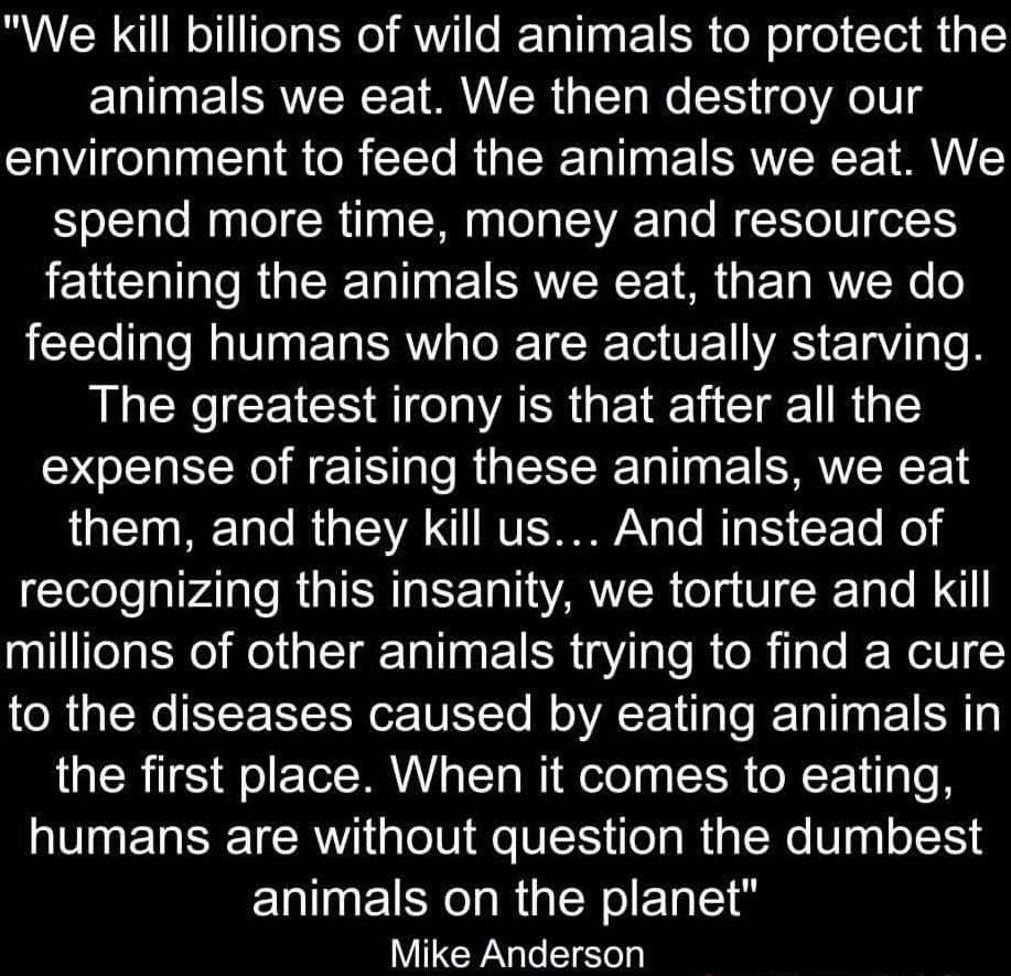 herbivore_club's tweet image. We aren't that smart really.