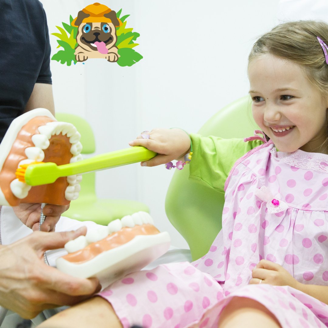 SmileTownVan's tweet photo. When your children come in to Smile Town Dentistry for regular appointments, our dental hygiene team will teach them how to properly care for their teeth at home. https://t.co/S2MsYOo0x8
