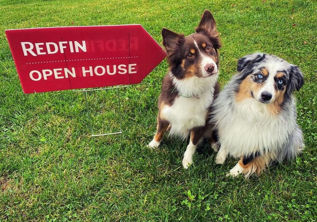 Redfin's tweet photo. You found their forever home. And they helped you find yours. ❤️🏠 https://t.co/sicIw0Lsb3