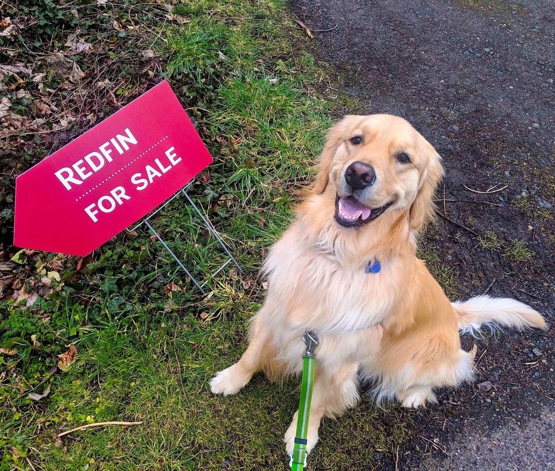 Redfin's tweet photo. You found their forever home. And they helped you find yours. ❤️🏠 https://t.co/sicIw0Lsb3