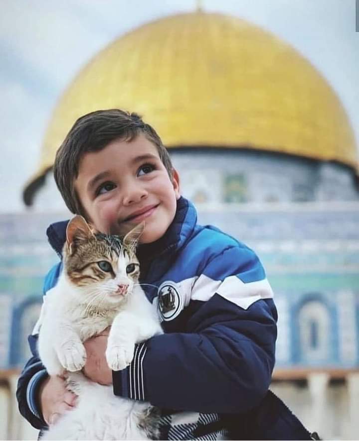 EElmannai's tweet photo. There is always hope ❤️like his stunning smile ❤️
#freepalastine
#palestine 
 #غزة_تنتصر_للقدس
#غزة_العزة https://t.co/z0yQILccFF