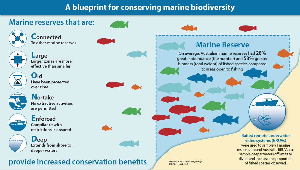 Very excited to share our paper in <a href="/GlobalChangeBio/">Global Change Biology</a> that provides a blue-print for conserving marine biodiversity through marine reserves. A huge collaborative effort with 35 co-authors and 18 affiliations to assess 91 marine reserves across Australia: 
onlinelibrary.wiley.com/doi/full/10.11…