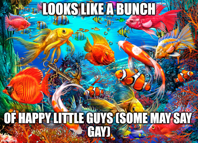 fishpostin's tweet photo. what a based bunch #fishingclashgiftcodes #fish #anal #meme #fishingmeme #Bitcoin #altcoins #thebigshort #crypto https://t.co/VWfsYs2Eup