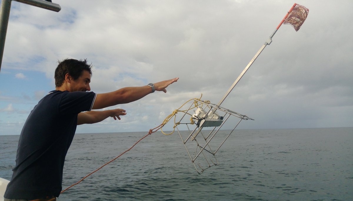We used baited remote underwater video systems to survey marine reserves at depths up to 100 m and found that they provide increased conservation benefits if they extend from shore into deeper waters.